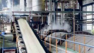 Sugar-production-300x225